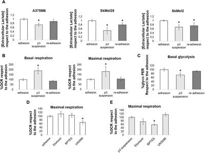 The critical role of glutamine and fatty acids in the metabolic reprogramming of anoikis-resistant melanoma cells